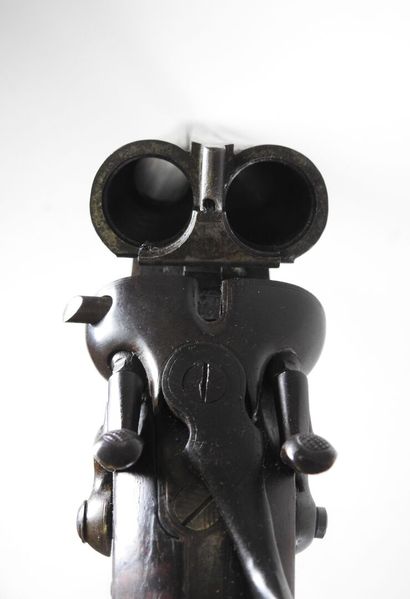 Piston rifle with juxtaposed barrels gauge...