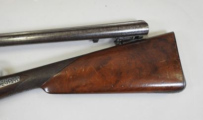 Beautiful rifle with pistons with juxtaposed...