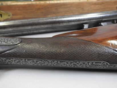 Beautiful rifle with pistons with juxtaposed...