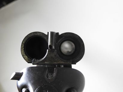 Piston rifle with juxtaposed barrels gauge...