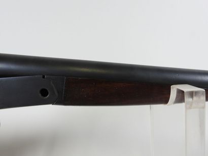 Canardière américaine de marque HOPKINS ET...