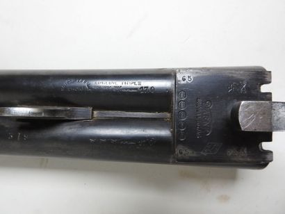 Fusil de chasse de marque DARNE à canons...