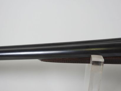 Fusil à pistons à percussion centrale à canons...