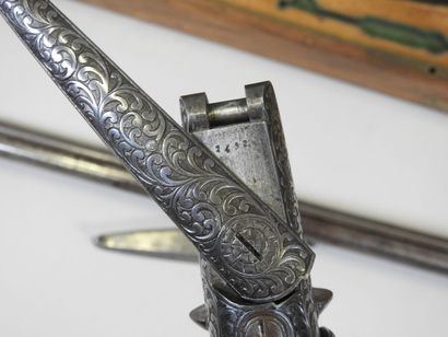 Beautiful rifle with pistons with juxtaposed...