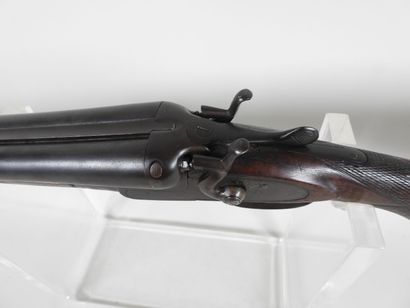 Piston rifle with juxtaposed barrels gauge...