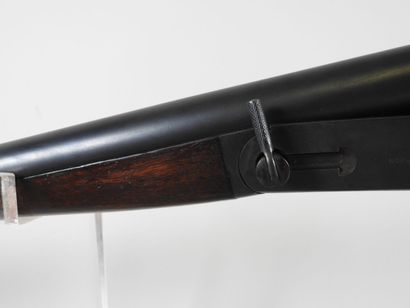 Canardière américaine de marque HOPKINS ET...