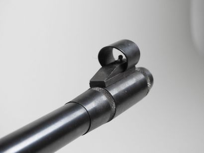 Single-shot bolt action rifle with sights,...