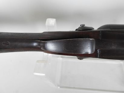 Piston rifle with juxtaposed barrels gauge...
