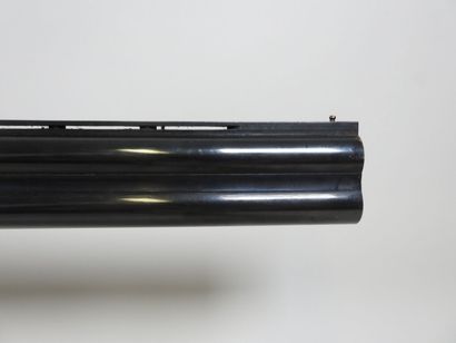 Shotgun with superimposed barrels gauge 12...