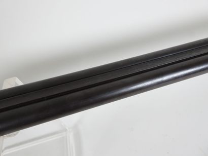 Piston rifle with juxtaposed barrels gauge...