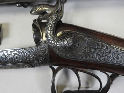 Beautiful rifle with pistons with juxtaposed...