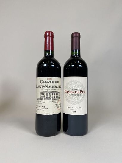 SAINT ESTEPHE. Batch of great outsiders :
-...
