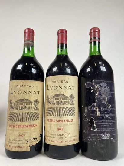 *Lot Magnums Rive Droite :
- LUSSAC SAINT...