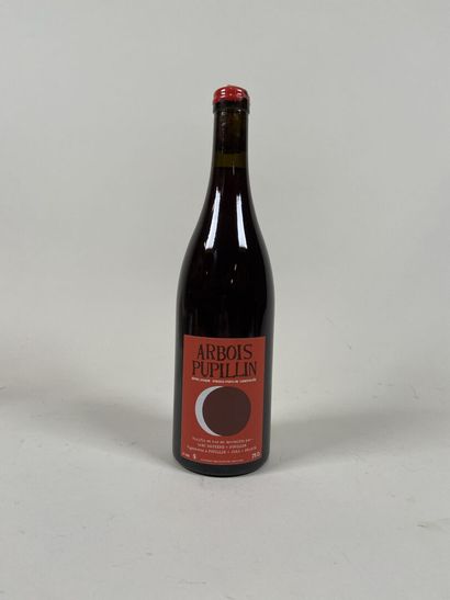 **ARBOIS PUPILLIN. Bruyères Houillon. Ploussard...