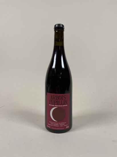 **ARBOIS PUPILLIN. Bruyères Houillon. Trousseau...