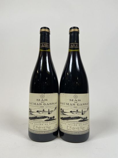 SAINT GUILHEM LE DESERT. Mas de Daumas Gassac....