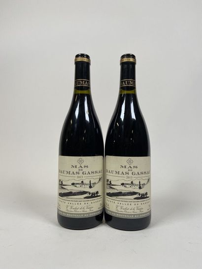 SAINT GUILHEM LE DESERT. Mas de Daumas Gassac....