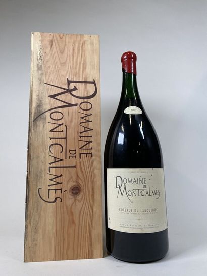 COTEAUX DU LANGUEDOC. Domaine de Montcalmès....