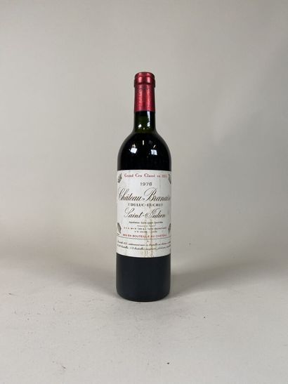 SAINT JULIEN. 4ème GCC. Château Branaire...
