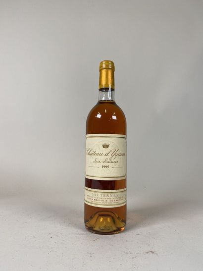 SAUTERNES. 1st CCS. Château d'Yquem. 1995....