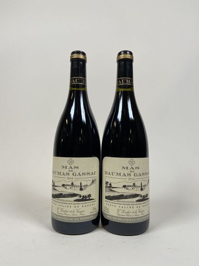 SAINT GUILHEM LE DESERT. Mas de Daumas Gassac....