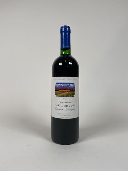 VALLE DEL MAIPO. CHILE. Domaine Paul Bruno....