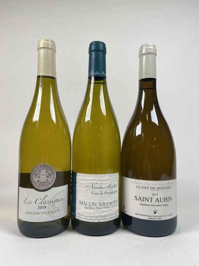 *Lot Bourgogne Blanc :
- MACON VILLAGE. Nicolas...