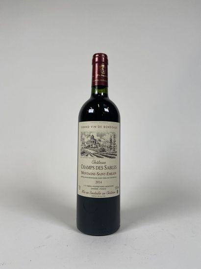 MOUNTAIN SAINT EMILION. Chateau Champs des...