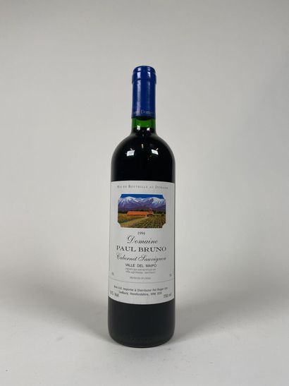 VALLE DEL MAIPO. CHILE. Domaine Paul Bruno....