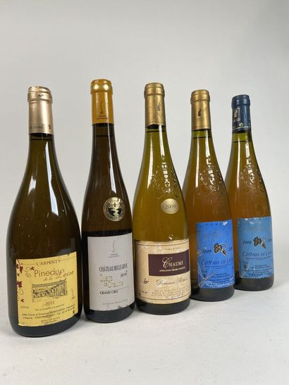 Lot Loire Moelleux :
- COTEAUX DU LAYON....