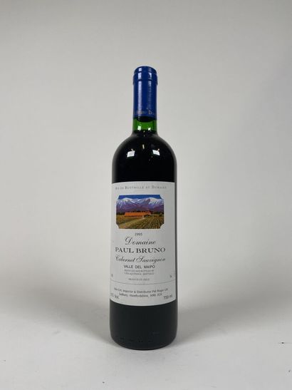VALLE DEL MAIPO. CHILE. Domaine Paul Bruno....