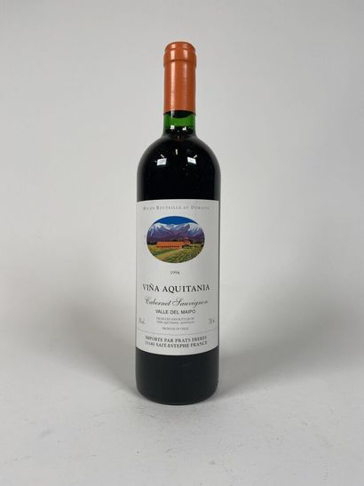VALLE DEL MAIPO. CHILE. Viña Aquitana. Cabernet...