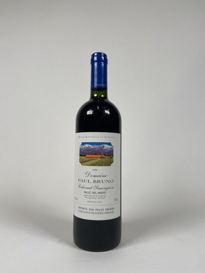 VALLE DEL MAIPO. CHILE. Domaine Paul Bruno....