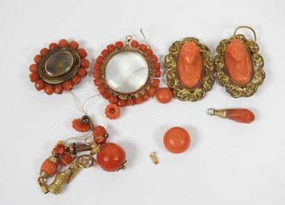 Set of ornamental elements in coral, metal...