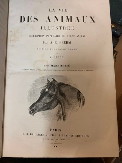 BREHM, La Vie des animaux illustrée : les...