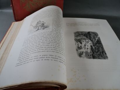 [Gustave Doré] Oeuvres de Rabelais. 
Paris,...
