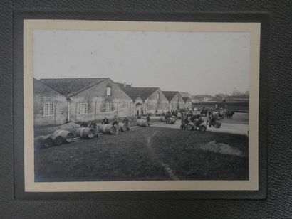 [Cognac, Charente Maritime, Viticulture]...