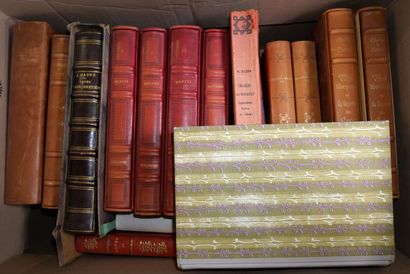Lot d'environ 15 volumes dont Proust, Homère,...