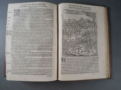 L'agriculture et maison rustique de MM Charles...