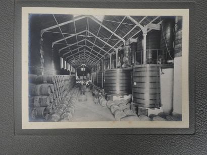 [Cognac, Charente Maritime, Viticulture]...