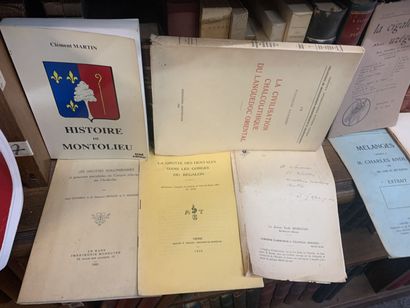 [ARCHEOLOGIE MASSIF CENTRAL AUVERGNE FOREZ...