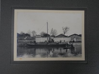 [Cognac, Charente Maritime, Viticulture]...