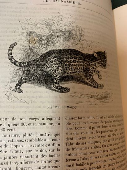 BREHM, La Vie des animaux illustrée : les...