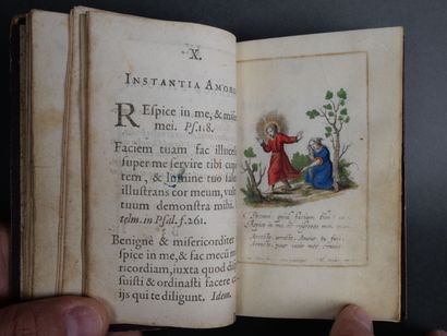 [Peau de vélin] Amoris divini et humani effectus...