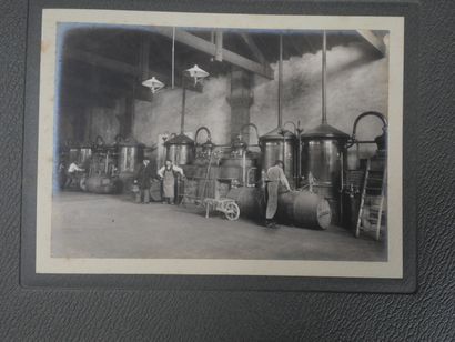 [Cognac, Charente Maritime, Viticulture]...