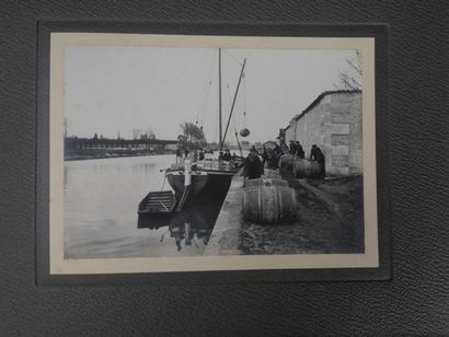 [Cognac, Charente Maritime, Viticulture]...