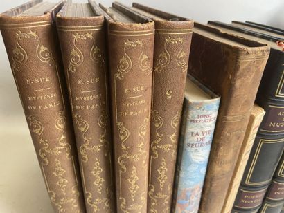 Environ 13 volumes dont Eugène Sue (les mystères...