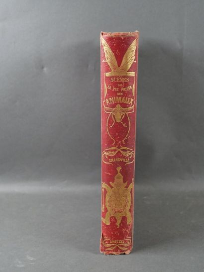 Grandville, Les animaux peints par eux-même.
Paris,...