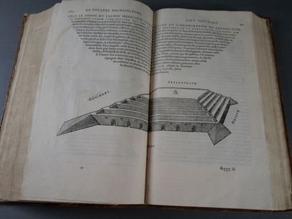 Olivier de Serres, Le théâtre d'Agriculture...