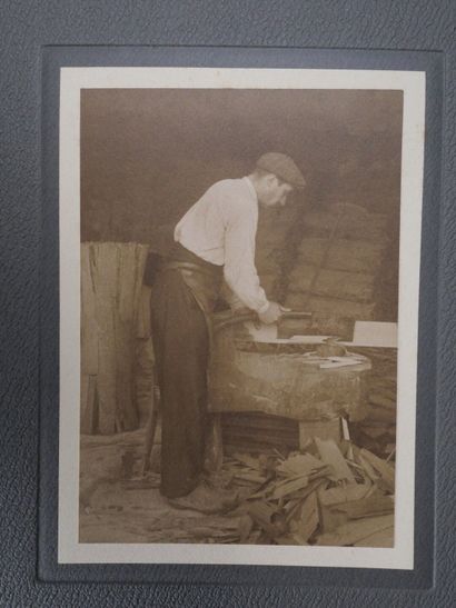 [Cognac, Charente Maritime, Viticulture]...